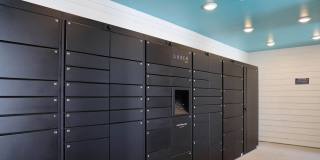 Preserve at Flagler Beach Preserve at Flagler Beach Gallery 23