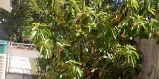 7234 Cherry Laurel Drive Gallery 28
