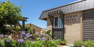 Elan Ocean Lofts Gallery 2