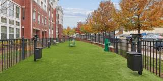 Avalon Arlington North Gallery 47