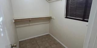 208 Michelle Gallery 13