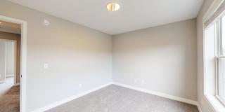 Wildwood Gallery 40