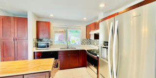 Beautifully Renovated 5 Bedroom House with Large Yard! Gallery 5