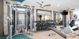 Sawmill Point Gallery 22