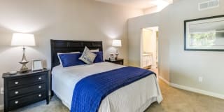 Aliso Creek Gallery 20