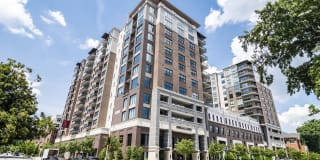 The Ashley Gallery 1