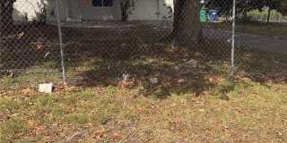 16301 SW 184th St Gallery 1