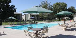 PARKWOOD APARTMENTS Gallery 10