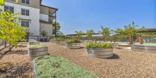 The Kelsey Scofield Farms Gallery 21