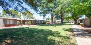 Icon on Stella Gallery 22