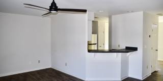 313 Bainbridge Drive Gallery 5
