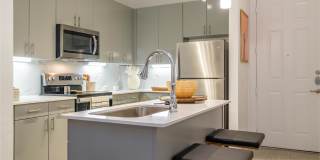 Reveal Lake Ridge Gallery 22