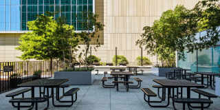 330 W Diversey Parkway Gallery 37