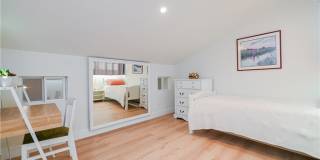 15 Camphor S Gallery 20