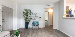 Ventana Canyon Apartments Gallery 10