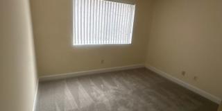 Hewitt Gardens Gallery 87