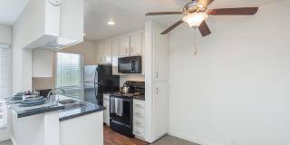 Elan Pacific Lofts Gallery 7