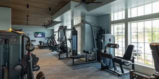 The Filmont Gallery 34