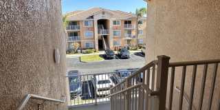 221 SW Palm Drive Gallery 3