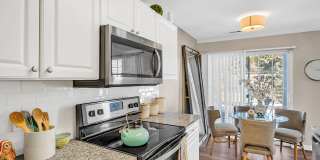 The Chapman Gallery 13