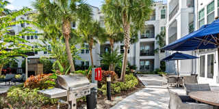 Paseo at Winter Park Village Gallery 50