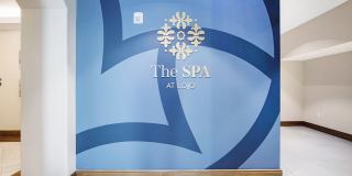 The Locale Apartment Homes Gallery 4