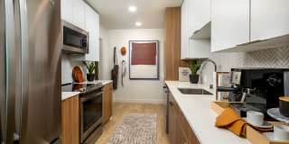 Dolphin Marina Gallery 8