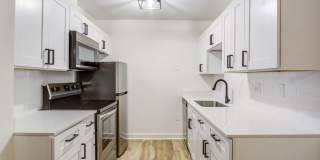 The Lily The Lily Gallery 10