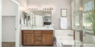 3647 E HORACE Drive Gallery 11