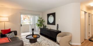 Lumina Apartments Gallery 26