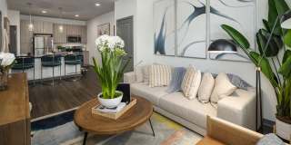 The Dorsey by Alta Gallery 10