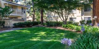 Evelyn Gardens Gallery 25