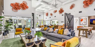 Domain Gallery 21