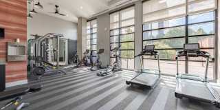 The Point Gallery 29