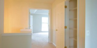 8250 RED CARNATION Court Gallery 12