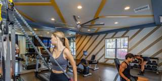 Portofino Cove Gallery 6