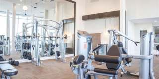 The Gabriella Gallery 19