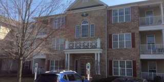 235 Sophee Lane Gallery 1