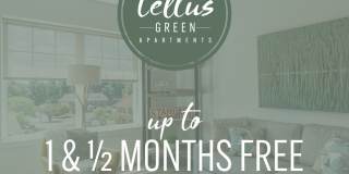 Tellus Green Gallery 17