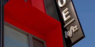 Little Zoe Gallery 24