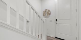 225 Steely Gallery 2
