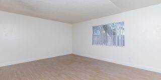 Prince Plaza Gallery 38