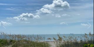 22 Tulip Avenue Gallery 4