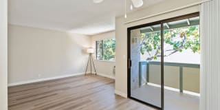 Pebble Creek Gallery 9