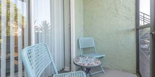 Palmera at Gandy Gallery 2