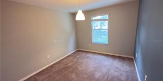 27507 DESERT WILLOW WAY Gallery 19