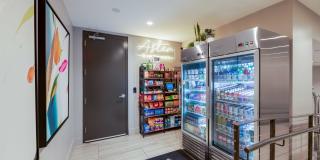 Aster Aster Gallery 14