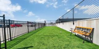 Alta Purl Gallery 64