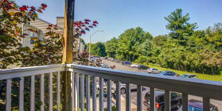 Woodberry Apartments Gallery 12