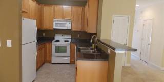 5523 Cottonrose Lane Gallery 4